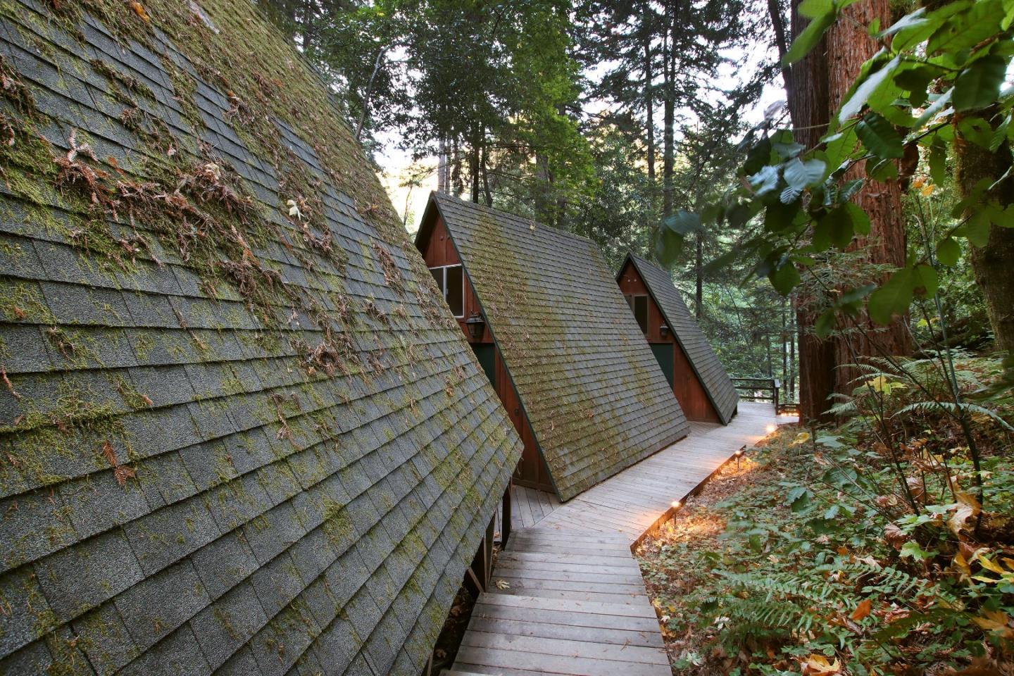 A-frame cabins with mossy roofs and a wooden walkway among redwoods and ferns.