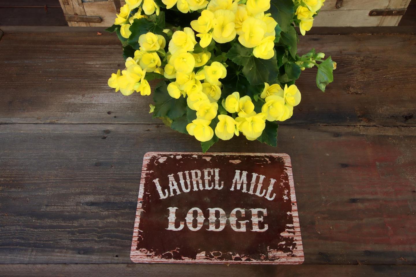 Laurel Mill Lodge sign beneath bright yellow flowers on a weathered wooden surface.
